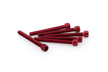 Śruby z anodyzowanego aluminium blister 6 śrub imbusowych m6x55mm czerwone