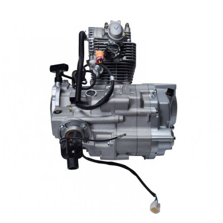 Silnik do ATV Bashan BS250S-5