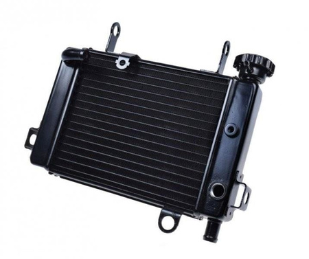 CHŁODNICA CIECZY MOTOCYKL HONDA CBR125 2004-2007