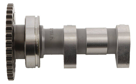 wałek rozrządu (ssacy) kawasaki kx 450f '09-'15 (kxf450)