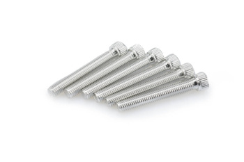 Śruby Z Anodyzowanego Aluminium Blister 6 Śrub Imbusowych M8x55mm Srebrne