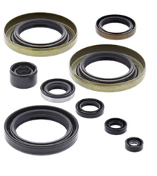 Winderosa (vertex) komplet (zestaw) uszczelniaczy silnikowych kawasaki kx500 89-04