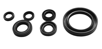 Tourmax komplet (zestaw) uszczelniaczy silnikowych yamaha xv s650 drag star '97-'04 (made in japan)