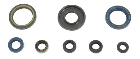 Athena komplet (zestaw) uszczelniaczy silnikowych ktm gs 250 84-89