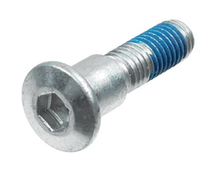 ŚRUBY TARCZY HAMULCOWEJ PRZÓD / TYŁ SUZUKI GSX 600 / 650 / 750 / 1200 / 1400, GSX-R 400 / 600 / 750, SV 650 / 1000, TL 1000 S / R, VZ 800 MARAUDER, GSF 400 / 600 / 650 / 1200 BANDIT (M8 X 1,25 DŁ. 37,8MM) (KPL. 5 SZT.)