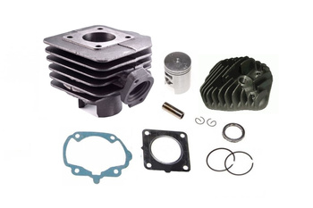 Cylinder Żeliwny Z  Głowicą Power Force Honda Bali Sfx Sj X8r 47mm 2t