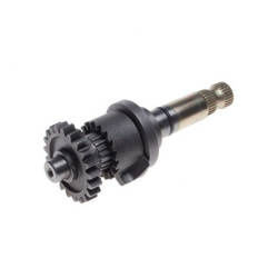 Wałek rozrusznika kpl AM6