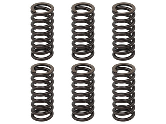 Psychic 2022/11 sprężyny sprzęgłowe ktm exc 250 racing '02-'05, exc-f 250 '03-'04, exc 400 '01-'07, sx/mxc '00-'02, exc/mxc/smr/sx 450/525 '03-'05, smr 560 '06, (ebs094)