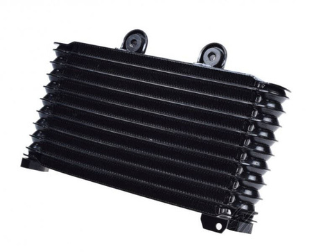 Chłodnica oleju Suzuki GSF600