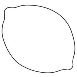 Winderosa (vertex) uszczelka pokrywy sprzęgła suzuki rm250 (rm 250) 90-95, rmx250 89-99 (zewnętrzna) (o-ring)