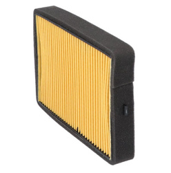 FILTR POWIETRZA BENELLI BN 125 '18-'20 (OEM: 49200L290000)