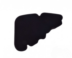 Filtr Powietrza Wkład Do Piaggio Liberty 125 4T