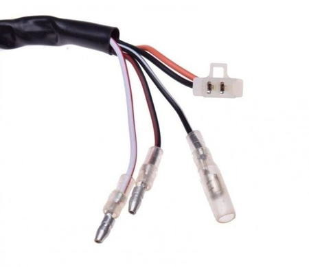 Moduł zapłonowy do skutera 2T Keeway Zipp Cpi