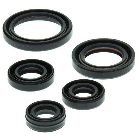 Winderosa (vertex) komplet (zestaw) uszczelniaczy silnikowych yamaha yfm50 raptor 04-08