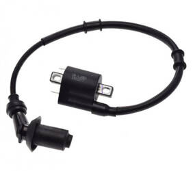 Cewka zapłonowa do Longjia LJ50QT-9M