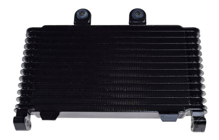 Chłodnica oleju Suzuki GSF1200