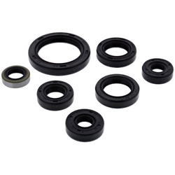 Winderosa (vertex) komplet (zestaw) uszczelniaczy silnikowych kawasaki kfx250 mojave 87-04