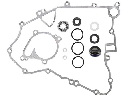 Bronco 2022/02 zestaw naprawczy pompy wody kawasaki kvf 750 brute force '19-'21 (11060-1964, 11061-1119, 49063-1055, 601a6001, 92022-304,92049-0783, 92055-091, 92055-1136)