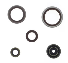 KOMPLET (ZESTAW) USZCZELNIACZY SILNIKOWYCH BETA RR 250 / 300 RR RACI'13-'26 (ZASTĘPUJE P400060400011)