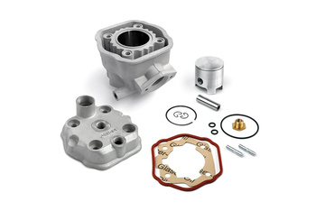 Cylinder Nicasilowy Z Głowicą Airsal Silnik Derbi Ebe050/Ebs050 Senda Gpr Gilera Gsm Surfer Zulu 48mm 2t