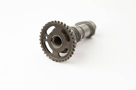 wałek rozrządu kawasaki kfx 450 r atv 08-09