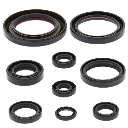 Winderosa (vertex) komplet (zestaw) uszczelniaczy silnikowych honda trx450 er 06-14, trx450r 06-09