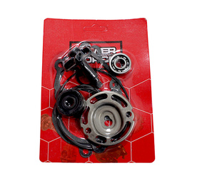 Zestaw Naprawczy Pompy Wody Yamaha 125 X-Max 06-19 X-City 08-19 R-Max 11-19 Yzf 125 Mt125 15-19