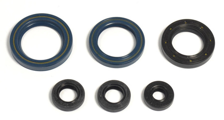 Athena komplet (zestaw) uszczelniaczy silnikowych ktm gs125`87-97, egs125`95-97