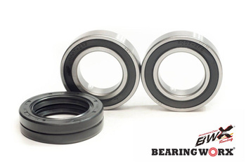 Łożyska koła tylnego z uszczelniaczami yamaha yfm 660 raptor 01-05, yfs 200/350 (25-1313)