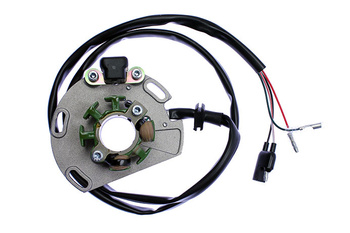 UZWOJENIE ALTERNATORA (STATOR) GAS GAS EC 125, EC250