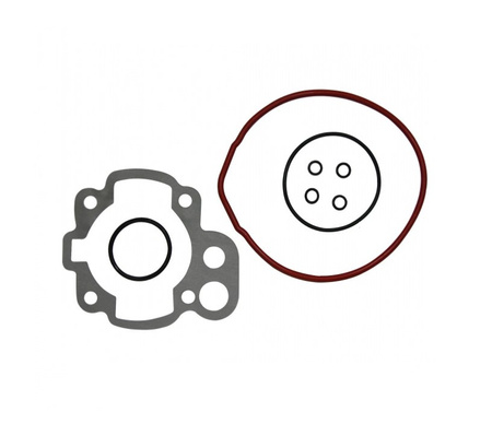 Komplet uszczelek cylindra minarelli am6 47 mm power force wersja 2