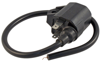 Cewka Zapłonowa Epicuro 125/150 Rms 24 601 0112