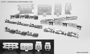 Cl kostka regulatora sh538d-13 55a