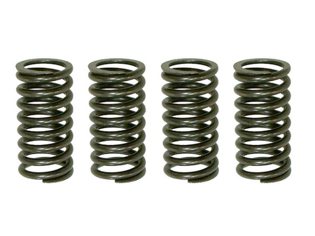 Psychic 2022/11 sprężyny sprzęgłowe kawasaki kdx 200 '05-'06, honda nx 250r '88-'90 (ebs030)