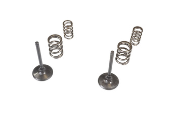 Wiseco kpl. zaworów ssących + sprężyny kawasaki kx 450f '09-'10