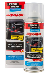 ŚRODEK DO CZYSZCZENIA KLIMATYZACJI MANGO 0,2L (12)