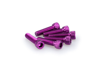 Śruby z anodyzowanego aluminium blister 6 śrub imbusowych m8x30mm fioletowe