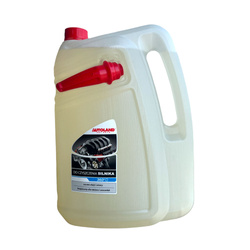 ŚRODEK DO CZYSZCZENIA SILNIKA 5L (1)