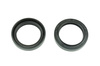 Uszczelniacze przedniego zawieszenia olejowe (2szt.) 30x40x8/9 (ari079)