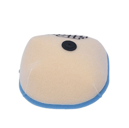 Filtr powietrza gagaec 250/300 '18-'20 , rieju ec 250/300 '21  (gagaengine)