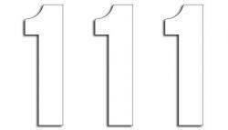 Numery startowe 13cm x 7cm proste, kolor biały nr1 (3szt.)