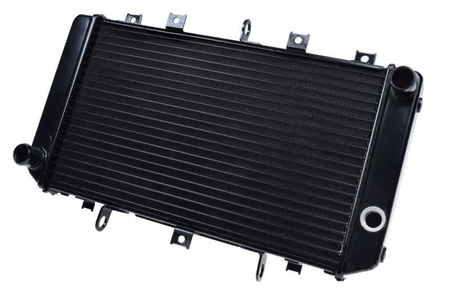 Chłodnica cieczy do Kawasaki Z750 04-06 750S 05-07