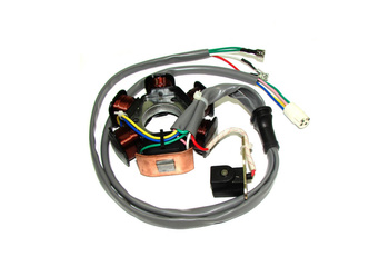 Stojan Alternatora Power Force Piaggio 50 2t (Okrągła Wtyczka Starsze Modele)  Alt000258a