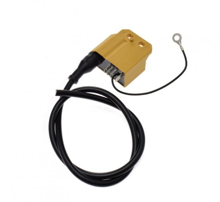 Cewka z modułem silnik Minarelli AM6