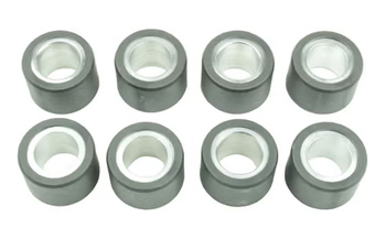 Rolki wariatora 8 szt. 28 x 19,9 mm 18 gr. Honda silver wi400