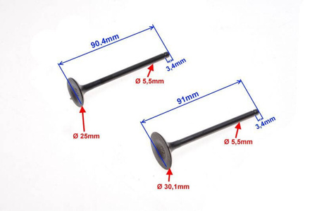 Zawór ssący i wydechowy do silników 156FMI