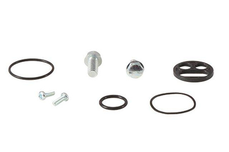 Zestaw naprawczy kranika kawasaki kx125 03-05, kx250 03-07