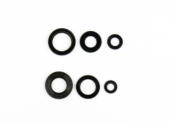 KOMPLET (ZESTAW) USZCZELNIACZY SILNIKOWYCH WR 200