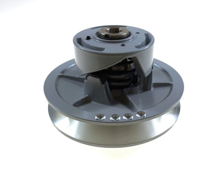 Wariator Top Racing Ligier