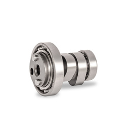 wałek rozrządu (kpl. z łożyskami)yamaha x-max/x-city 125 '06-'16 ,yzf 125 '08-'16,wr 125x '09-'17,beta,rieju,hm-moto,fantic 125,silnik minarelli 4t (1b9-we211-01)